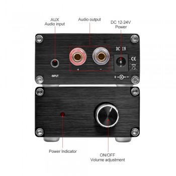 AIYIMA 100W TPA3116 Subwoofer Audio Amplifier TPA3116D2 Mono Digital Power Amplifiers NE5532 OP AMP With Case