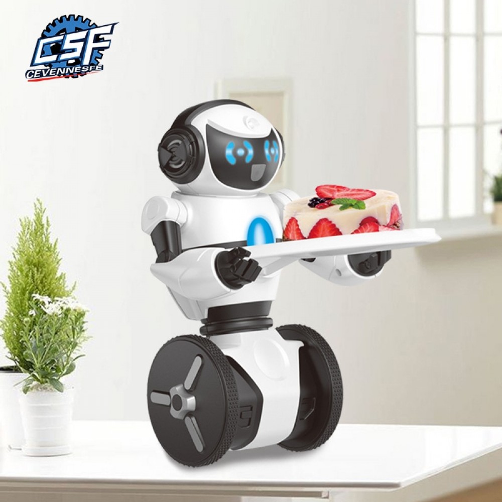 Hot sales remote control robot intelligent smart dancing rc robot Compatible with mip electronic toys Robot dog interactive pet