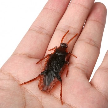 Shock Toys Simulation Cockroaches Xiaoqiang Insect  Magic Props YJS Dropship