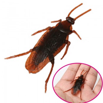 Shock Toys Simulation Cockroaches Xiaoqiang Insect  Magic Props YJS Dropship