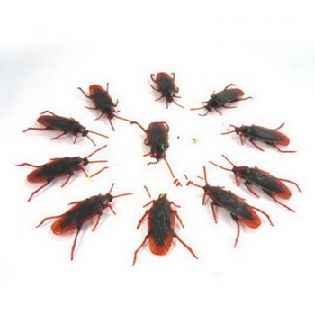 Shock Toys Simulation Cockroaches Xiaoqiang Insect  Magic Props YJS Dropship