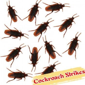 Shock Toys Simulation Cockroaches Xiaoqiang Insect  Magic Props YJS Dropship