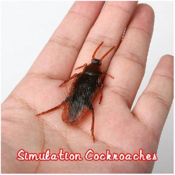 Shock Toys Simulation Cockroaches Xiaoqiang Insect  Magic Props YJS Dropship