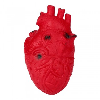 wholesale Antistress Silicone Cat Antistress Novelty Silicone Stress Ball Scary Organ Heart Slow Rising Squishies Toys PYMAY27