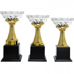 CP0310 Pattern Trophy Set